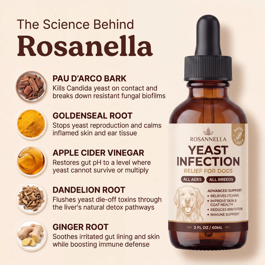 Rosanella - Yeast Defense Drops