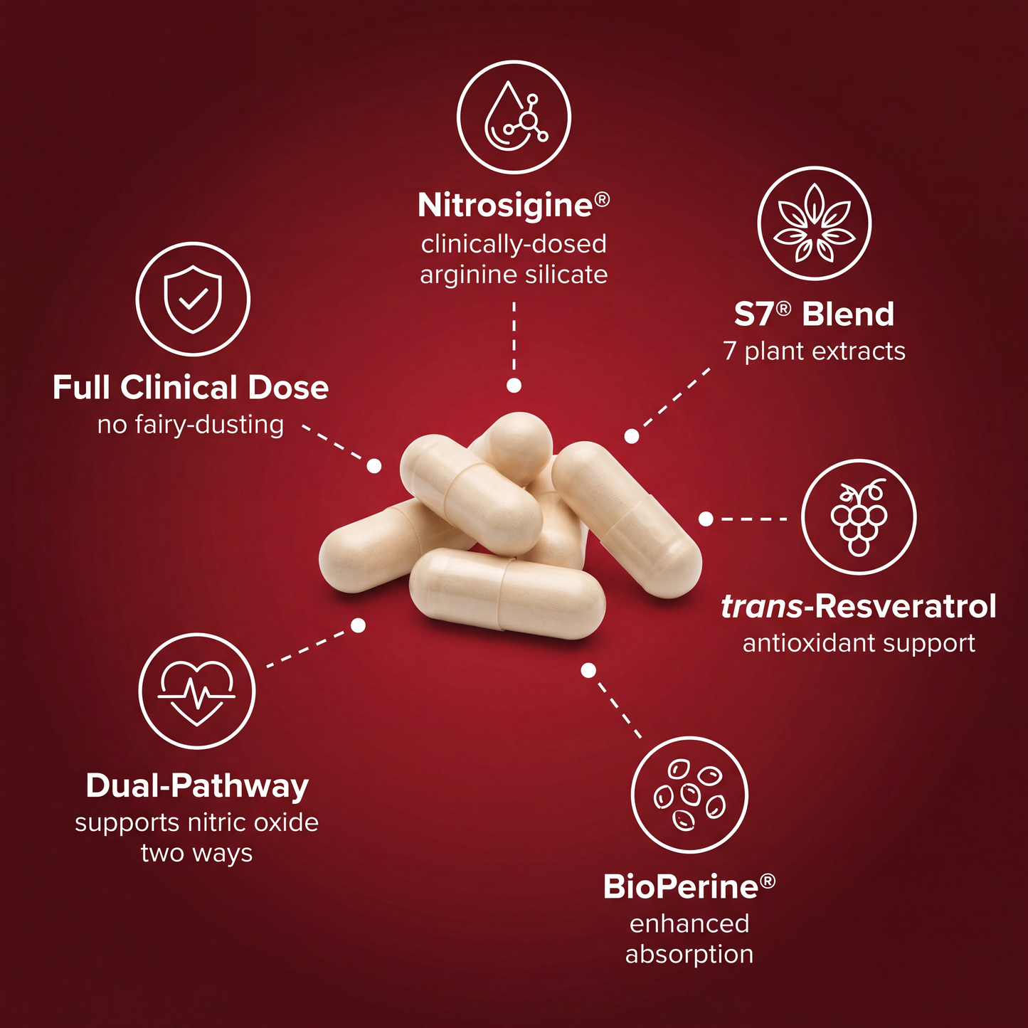 Rosanella™ - Blood Flow Complex